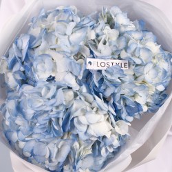 golubaya gortenziya buket 8